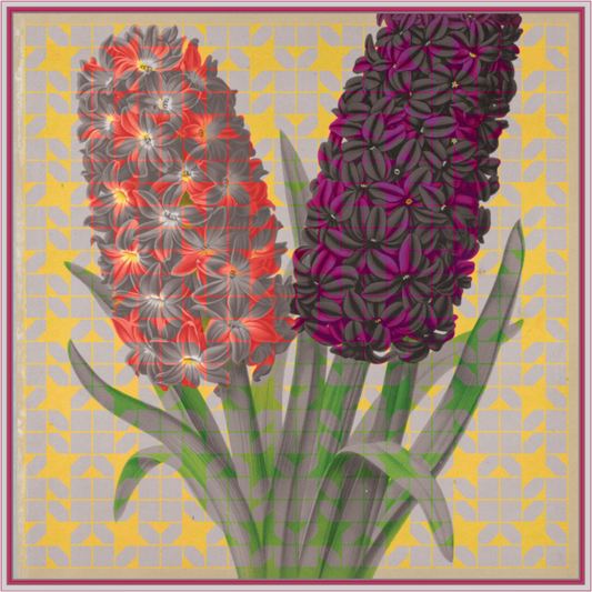 Main image Solfatara + Mimosa