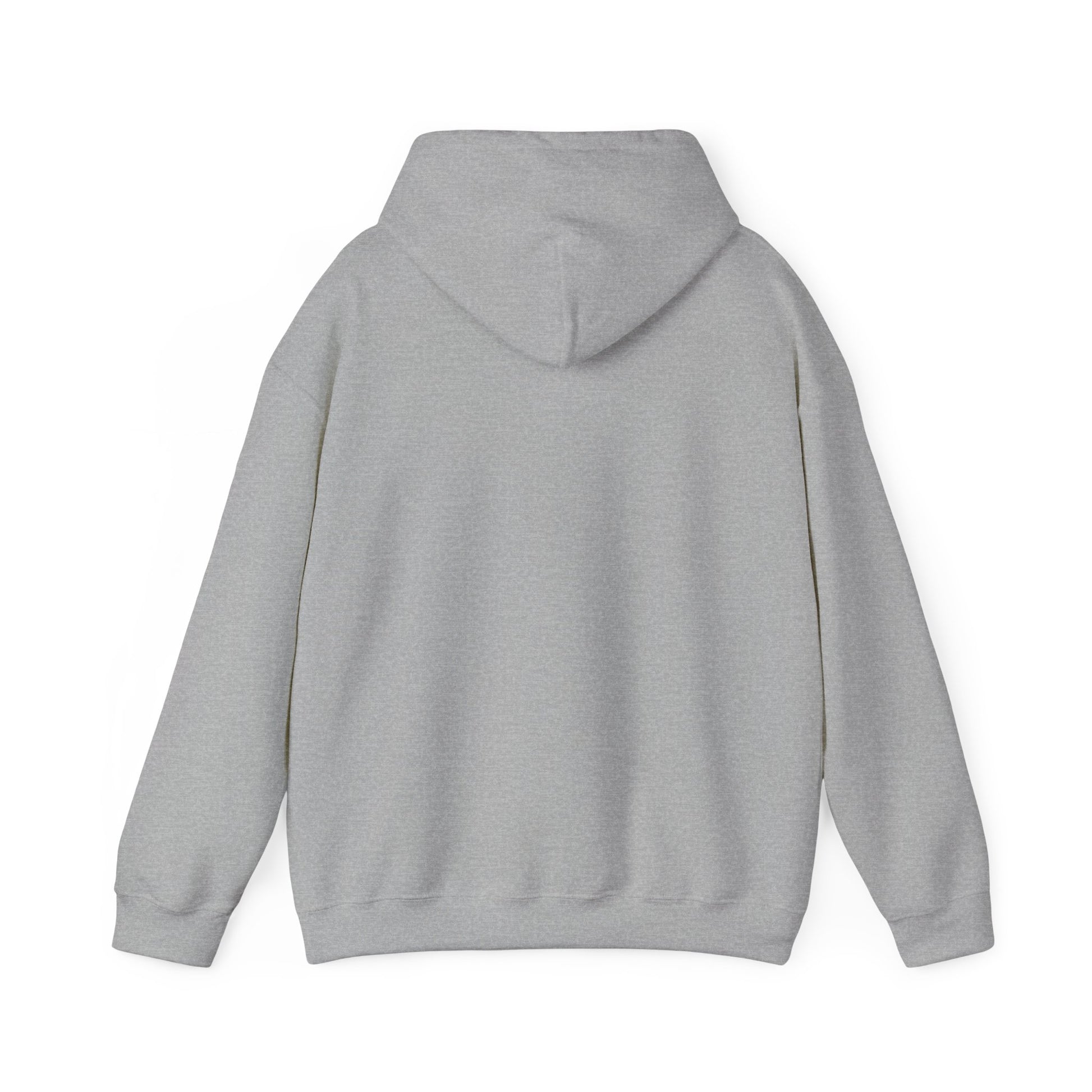 Unisex Heavy Blend Hooded Sweatshirt in gray back view by Leeloo + Zohan—Hoodie