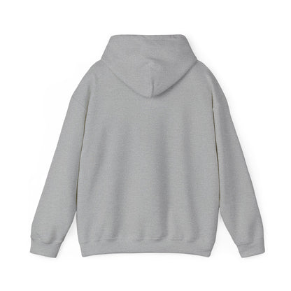 Unisex Heavy Blend Hooded Sweatshirt in gray back view by Leeloo + Zohan