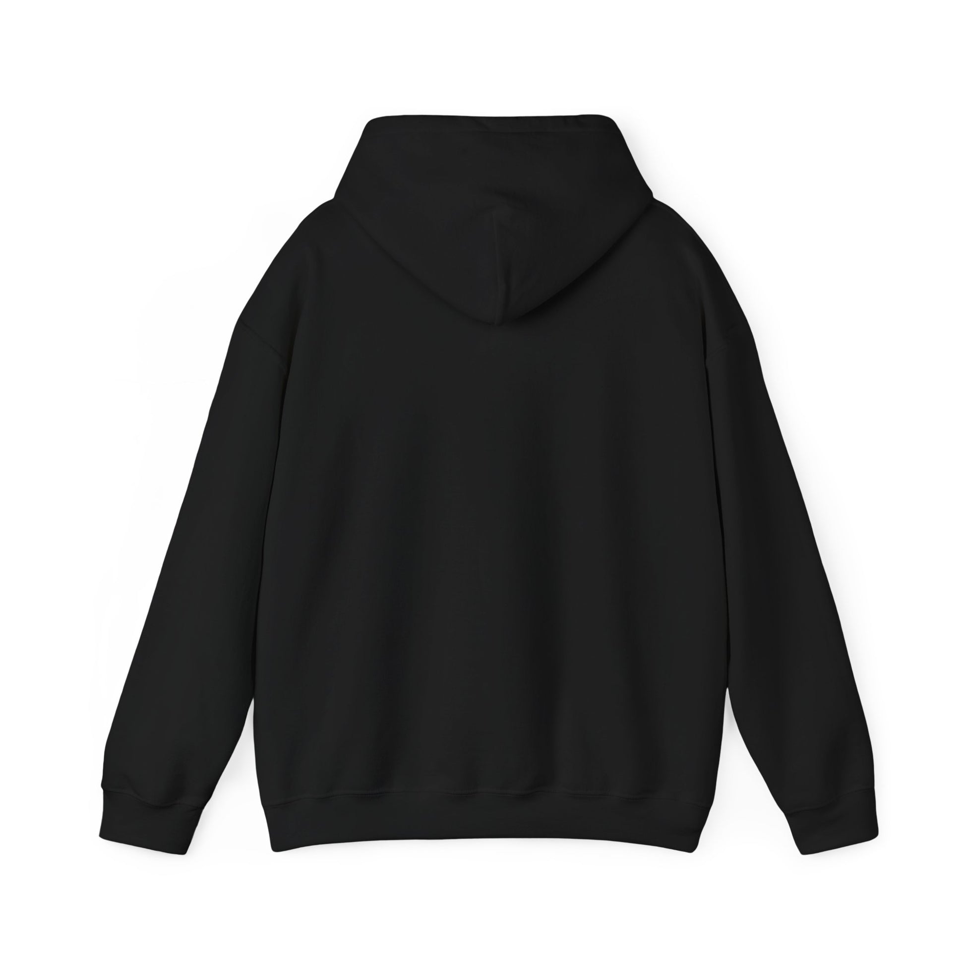 Unisex Heavy Blend Hooded Sweatshirt in black back view by Leeloo + Zohan—Hoodie