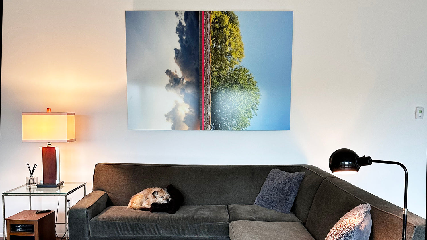 Large photographic artwork by Paul Morris—a mirrored landscape of tree and sky—installed above a sofa in a collector's living room