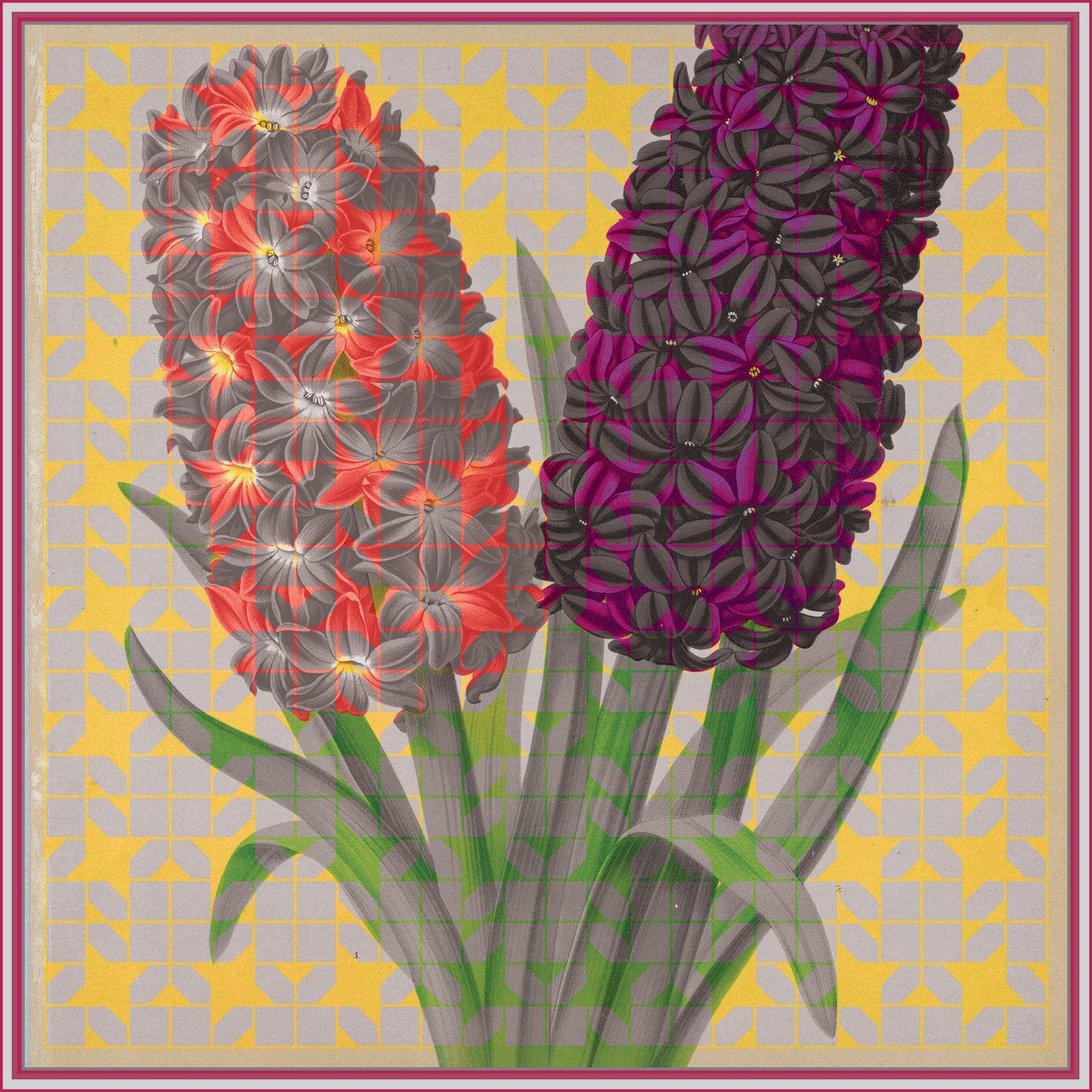 Solfatare + Mimosa scarf design featuring vibrant floral illustrations on a geometric patterned background, handcrafted by Leeloo + Zohan.