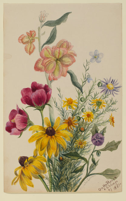 Botanical watercolor illustration of prairie wildflowers including black-eyed Susans, peonies and asters inspiration for On The Plains & Chicago scarf by Leeloo + Zohan