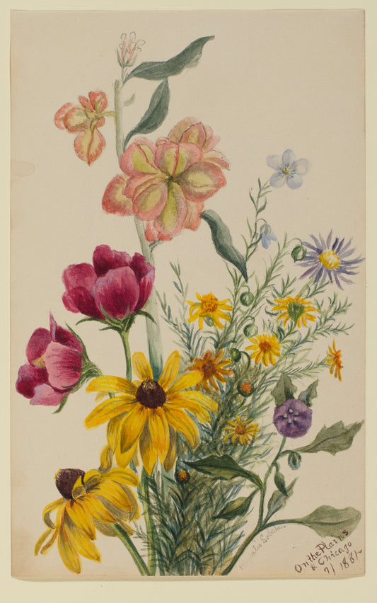 Botanical watercolor illustration of prairie wildflowers including black-eyed Susans, peonies and asters inspiration for On The Plains & Chicago scarf by Leeloo + Zohan—Square Scarf