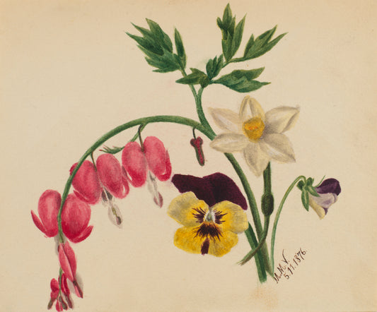 Archival 1876 botanical watercolor of bleeding heart, daffodil, and pansy from Smithsonian American Art Museum—inspiration for M.M.V. 5.11.1876 scarf by Leeloo + Zohan—Square Scarf