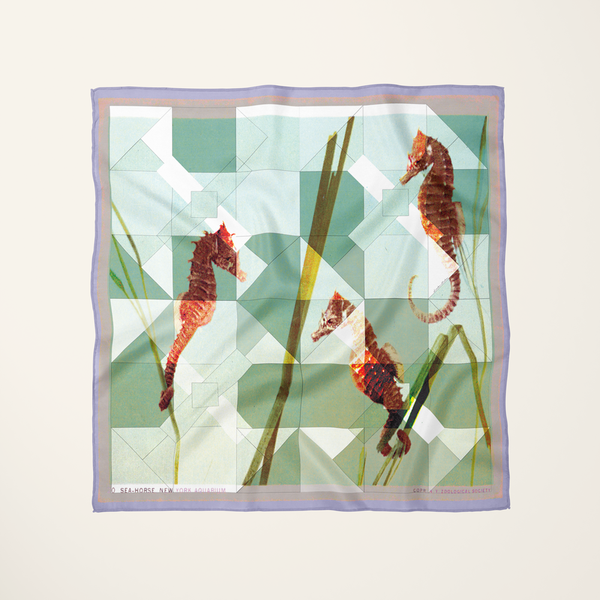 Sea-horse, New York Aquarium—silk habotai scarf by Leeloo + Zohan
