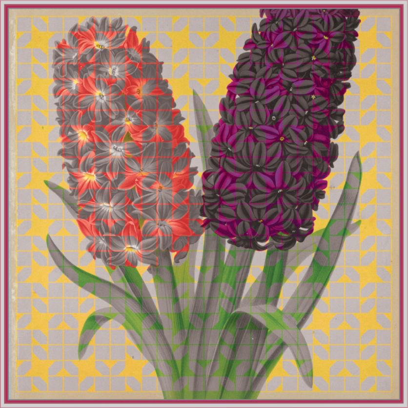 Solfatara + Mimosa silk scarf from the Patterns in Nature collection by Leeloo + Zohan