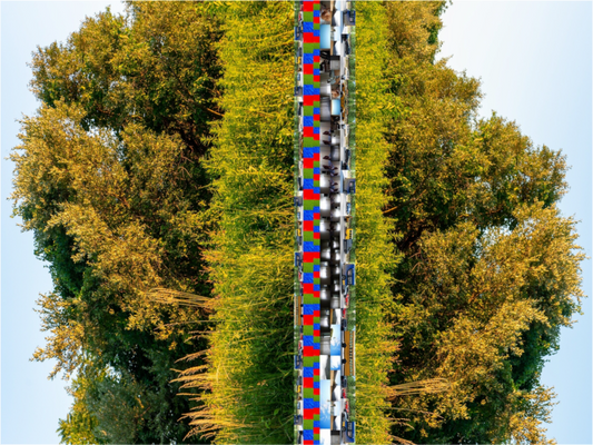 Main image Best View In The World