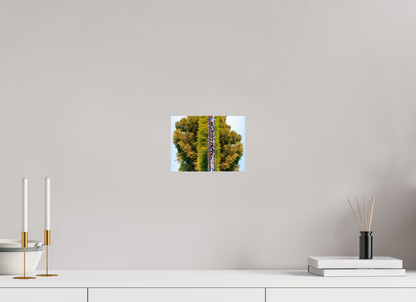 8 x 6″, Photo Print On Fuji Crystal DP II Best View In The World